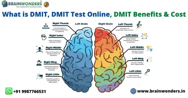 What is DMIT Test, DMIT Test Online | DMIT Benefits & Cost